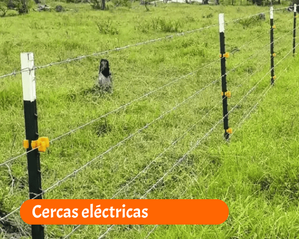 Cercas eléctricas