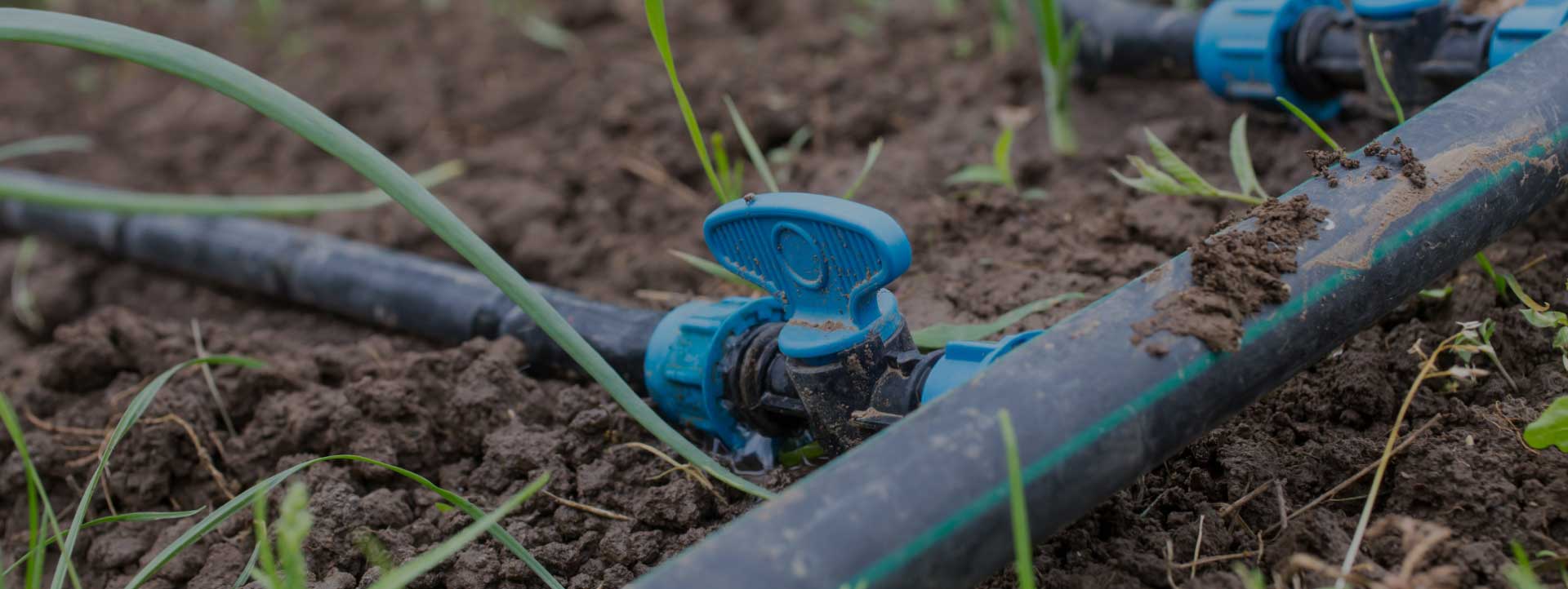 Riego agrícola