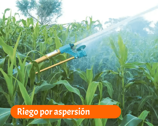 Riego por aspersión